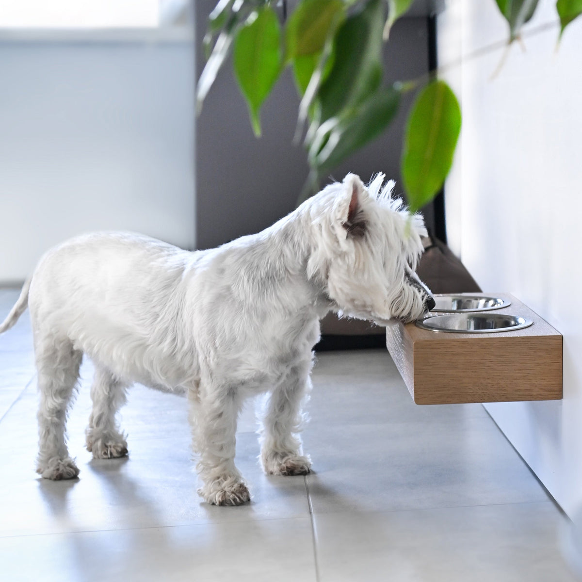 Small Dogs and Cats Wooden Elevated Stand, Young Dog Stand with Bowls