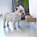 Small Dogs and Cats Wooden Elevated Stand, Young Dog Stand with Bowls